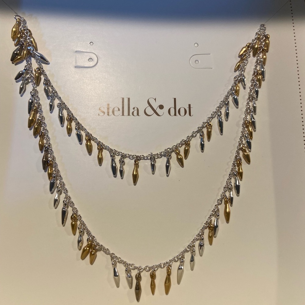 BRAND NEW Renegade necklace